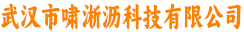 武汉市啸淅沥科技有限公司